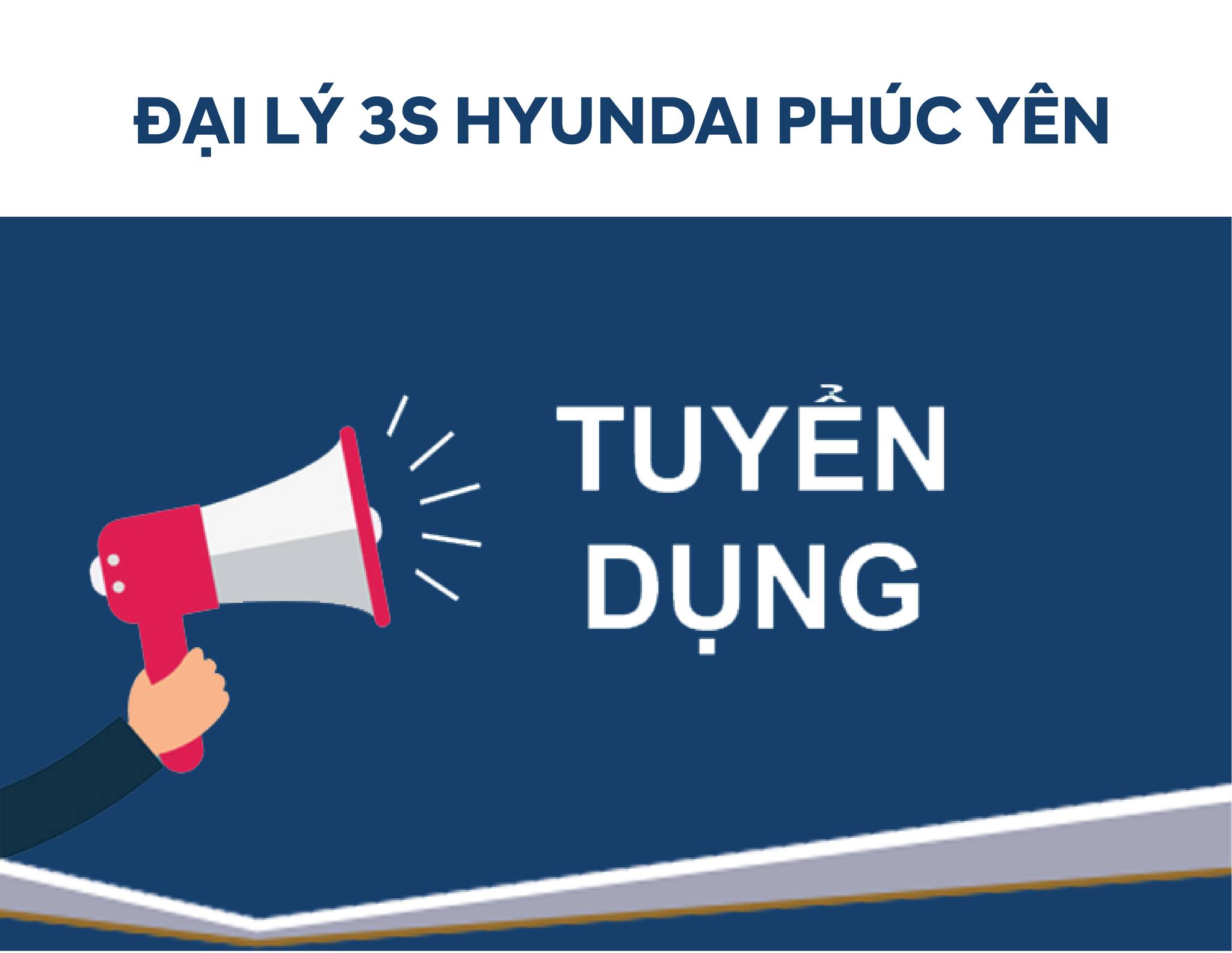 lĩnh vực hoạt động